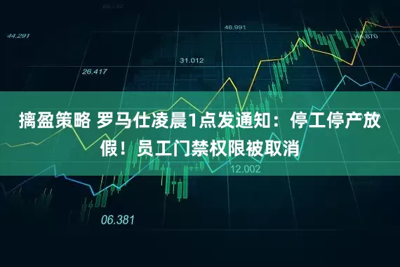 摛盈策略 罗马仕凌晨1点发通知：停工停产放假！员工门禁权限被取消