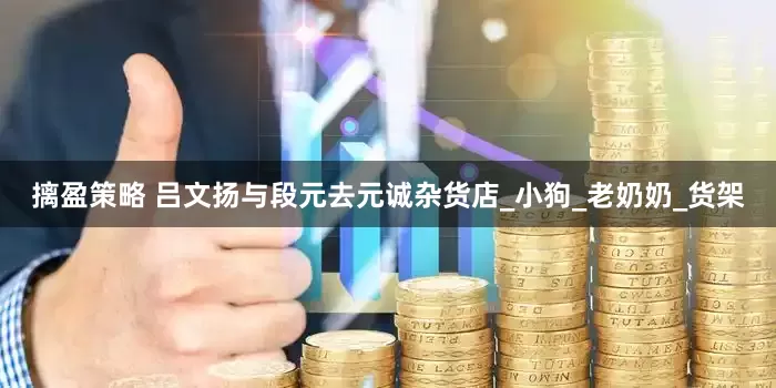 摛盈策略 吕文扬与段元去元诚杂货店_小狗_老奶奶_货架