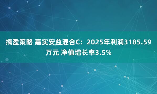 摛盈策略 嘉实安益混合C：2025年利润3185.59万元 净值增长率3.5%